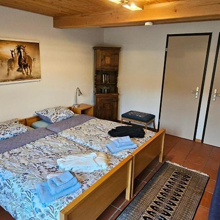 Miramont Horse Trekking Hostel Saicourt ภายนอก รูปภาพ