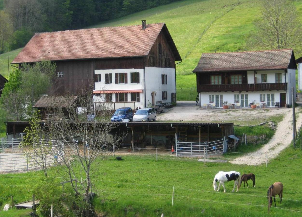Miramont Horse Trekking Hostel Saicourt ห้อง รูปภาพ