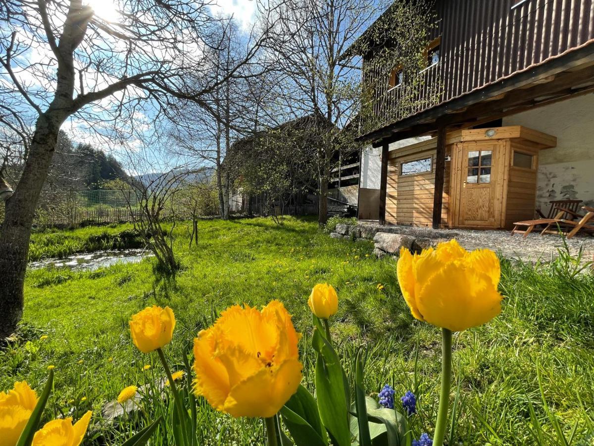 Miramont Horse Trekking Hostel Saicourt ภายนอก รูปภาพ