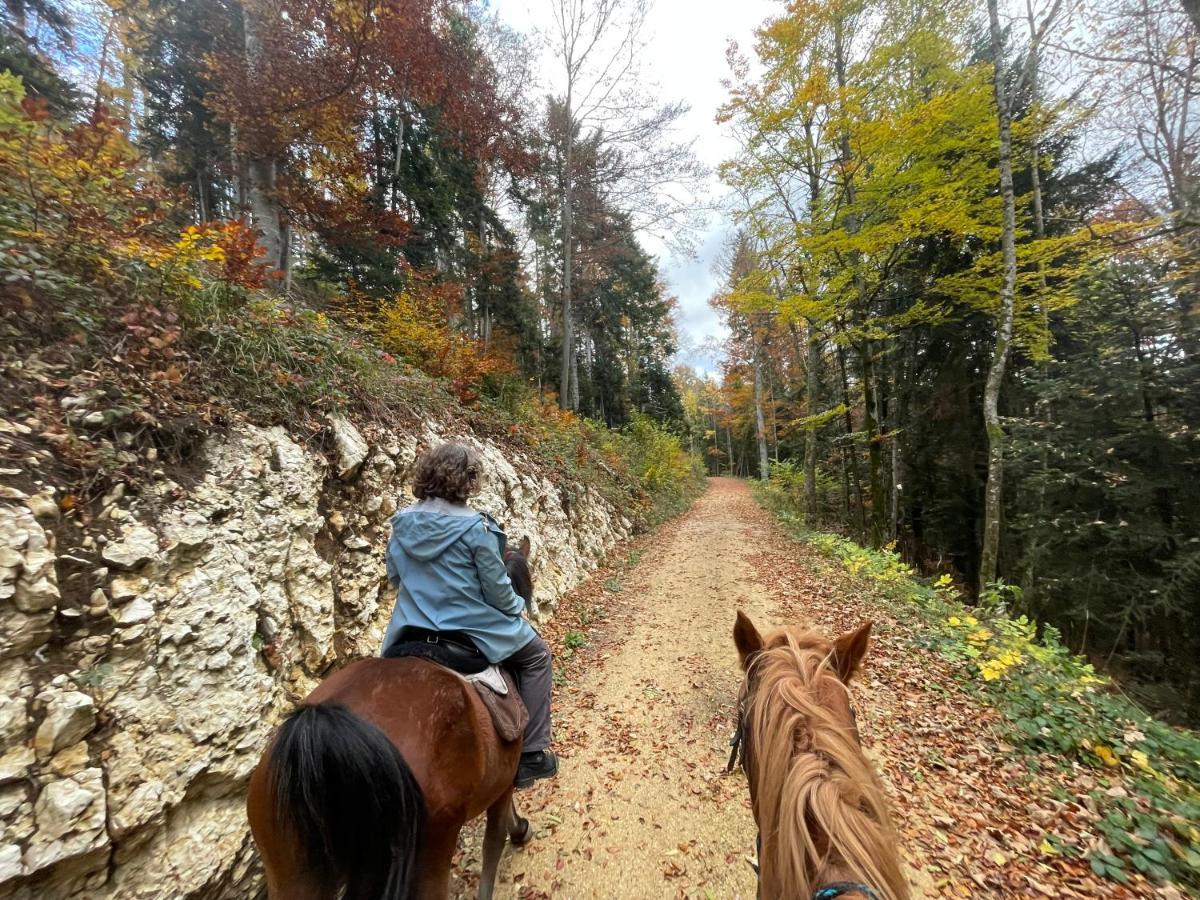 Miramont Horse Trekking Hostel Saicourt ภายนอก รูปภาพ