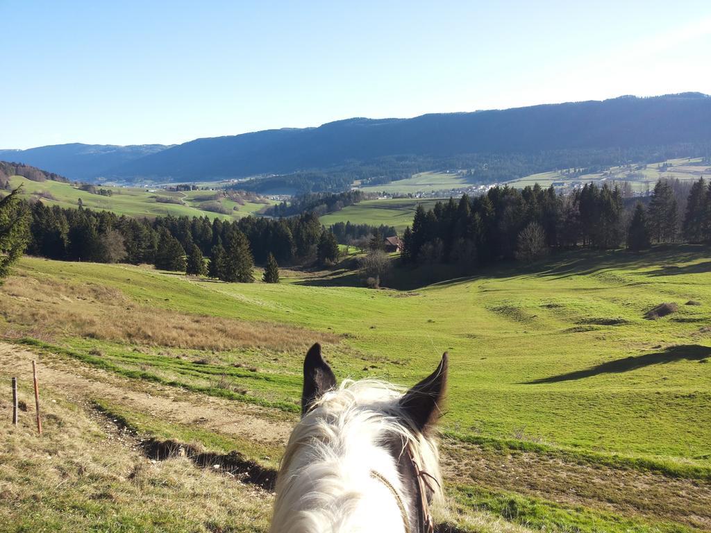 Miramont Horse Trekking Hostel Saicourt ภายนอก รูปภาพ